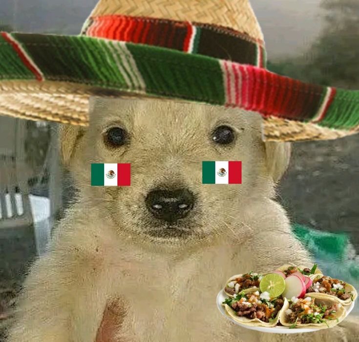 ccmexxas's tweet photo. feliz cumpleaños México tqm tu sabes qué onda https://t.co/mRa27PLCTe