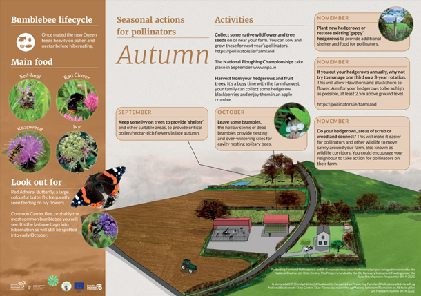 Check out what seasonal actions you can take for pollinators this autumn 🐝🪰 🦋

#farmlandbiodiversity
