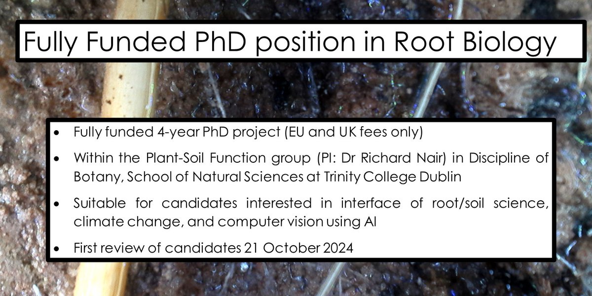 Richard Nair (@richardnair) on Twitter photo 📢📢full funded (EU-UK) PhD project with me <a href="/TCD_NatSci/">School of Natural Sciences, Trinity College Dublin</a> doing cutting edge stuff with automated root measurements to understand ecosystem greenhouse gas fluxes: findaphd.com/phds/project/r… #roots #phdposition #rootecology 📢📢full funded (EU-UK) PhD project with me <a href="/TCD_NatSci/">School of Natural Sciences, Trinity College Dublin</a> doing cutting edge stuff with automated root measurements to understand ecosystem greenhouse gas fluxes: findaphd.com/phds/project/r… #roots #phdposition #rootecology