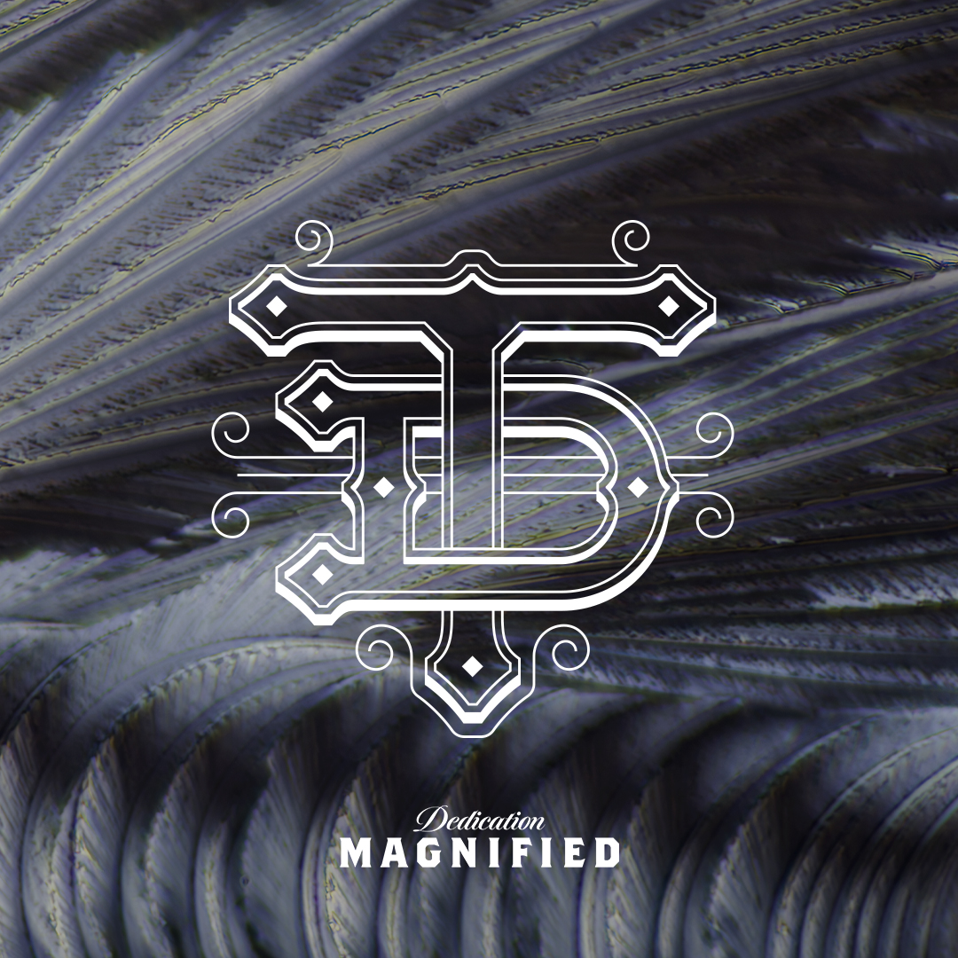 Matured for 43 years, exclusively in hand-selected Oloroso sherry casks from the cooperages and bodegas of Jerez. ​

Embrace Tamdhu 43 Year Old's rich mahogany colour and complex sherry oak flavour profiles. ​

This is dedication, magnified.​

tamdhu.com/tamdhu-43-year…