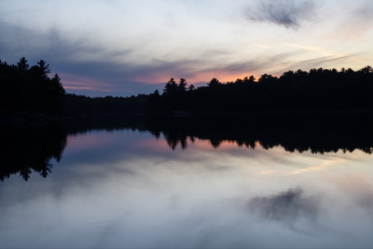 Ryan Cash tweet media