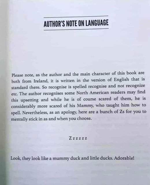 You're probably aware by now that Americans prefer spelling 'analyze' and Brits 'analyse'. If you were wondering what's going on in Ireland, here's some humourous insight: