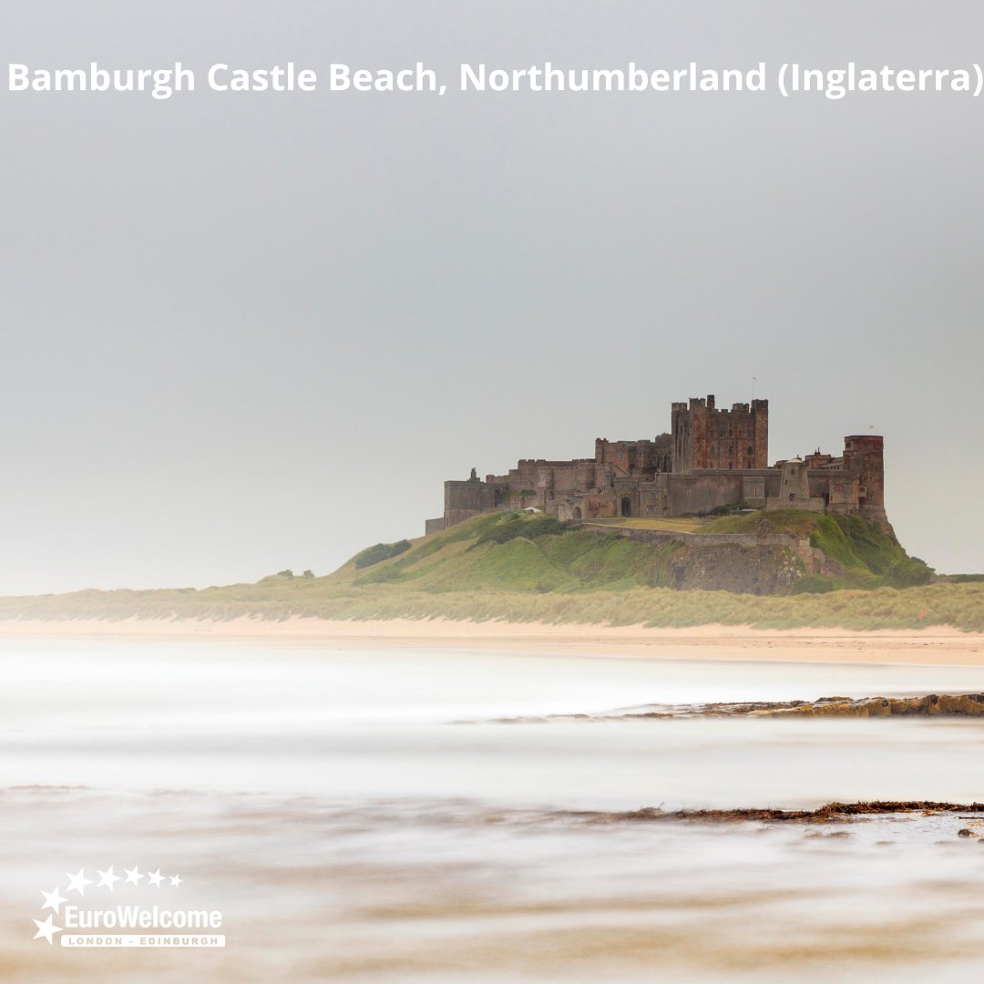 EuroWelcome's tweet photo. ¡Feliz Día Mundial de las Playas!

Desde las doradas arenas de Bournemouth en Inglaterra hasta las escarpadas costas de Pembrokeshire en Gales, pasando por las tranquilas bahías de las Islas Orcadas en Escocia, hay una playa para todos los gustos en el Reino Unido. https://t.co/RL9CtfKkVD