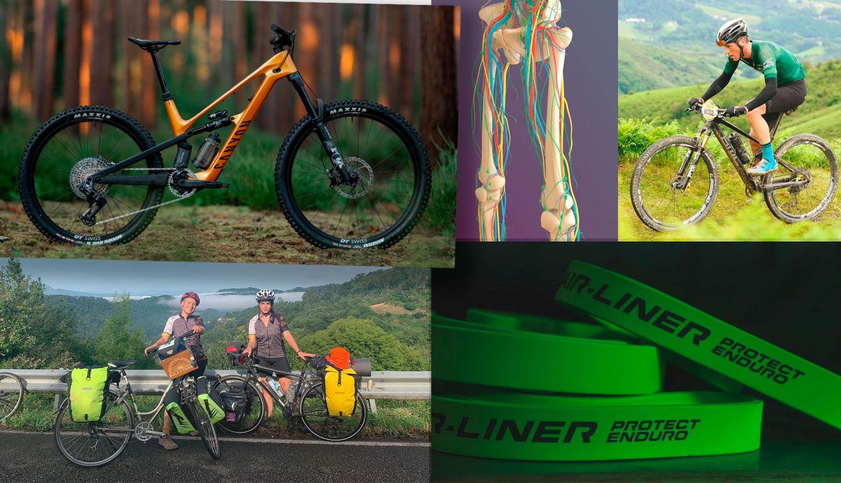 BikeAnalytics tweet media
