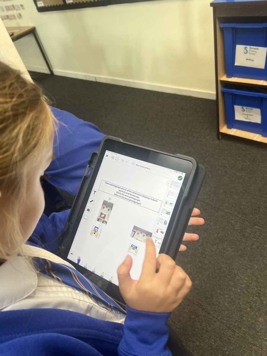 Shoreside Year 2 tweet media