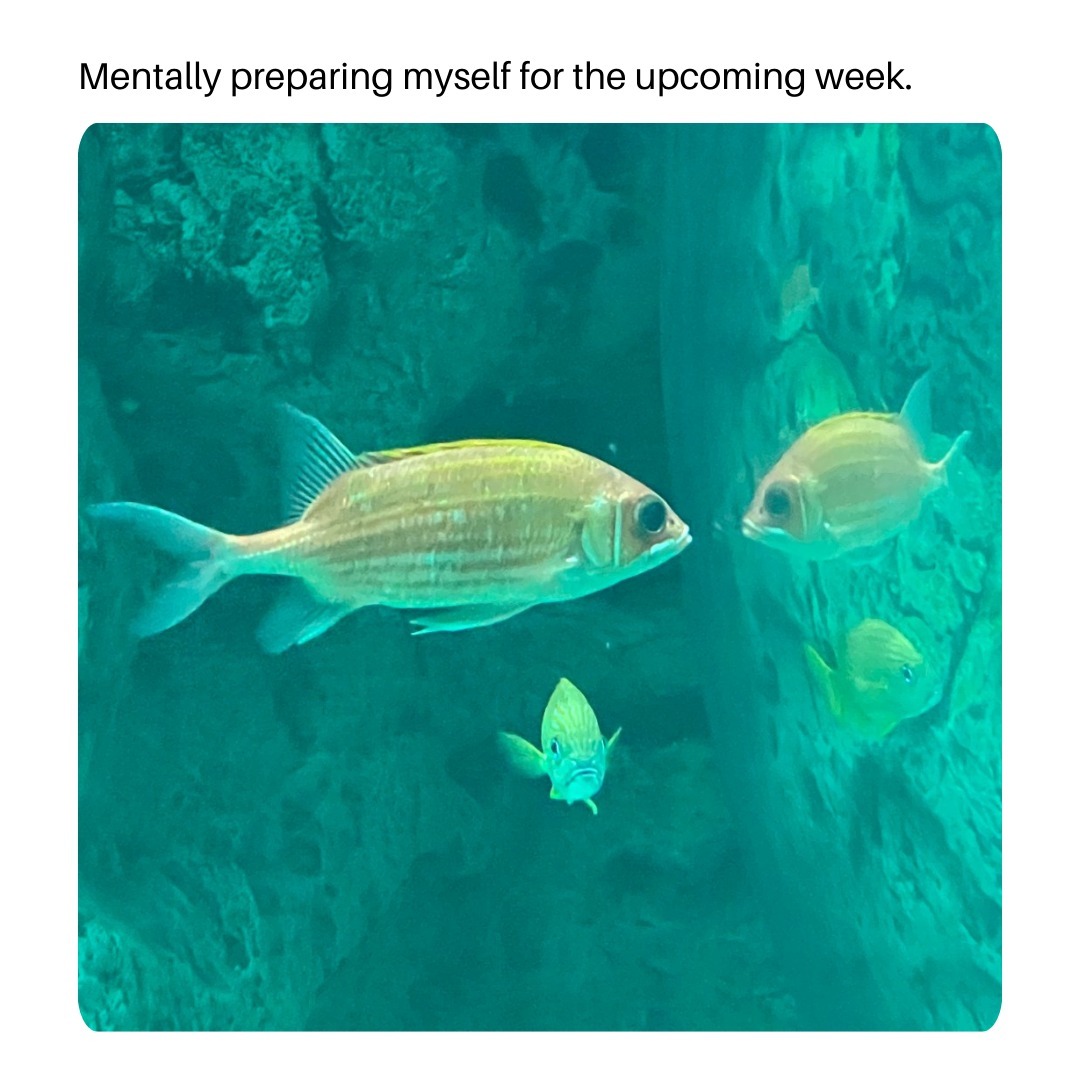 How are you doing on this fine Monday morning?

#corpuschristitexas #aquarium #familytime #texastodo #cute #animals