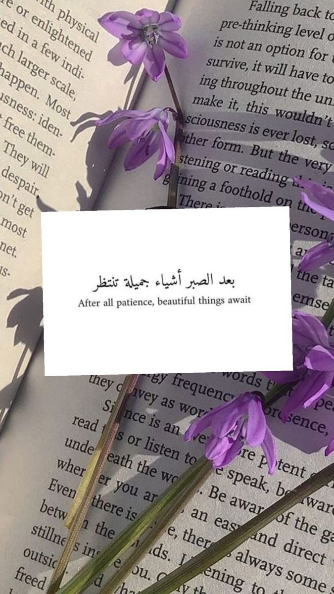 Mahrukh Khalid (@manoookhannn) on Twitter photo 