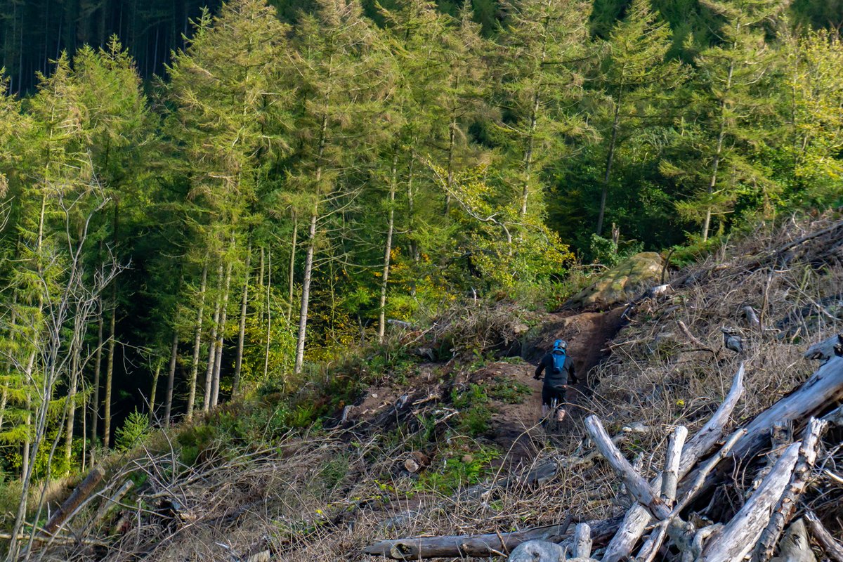 JLPhoto&Video tweet media