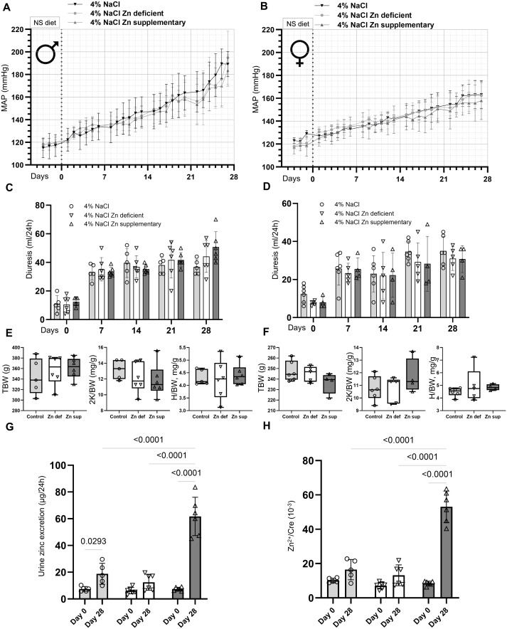 Alexander Staruschenko (@staruschenko) on Twitter photo Our recent study revealed different effects of zinc on calcium entry and intracellular zinc levels in podocytes and CCD in vitro and a lack of effects in Dahl SS rats in vivo <a href="/jbiolchem/">Journal of Biological Chemistry</a>. <a href="/bohovyk/">Ruslan Bohovyk</a> <a href="/KravtsovaOlha/">Olha Kravtsova</a> <a href="/_V_Levchenko_/">Vladislav Levchenko</a> <a href="/c_a_klemens/">Chris Klemens</a> <a href="/OPalygin/">Oleg Palygin</a>
sciencedirect.com/science/articl… Our recent study revealed different effects of zinc on calcium entry and intracellular zinc levels in podocytes and CCD in vitro and a lack of effects in Dahl SS rats in vivo <a href="/jbiolchem/">Journal of Biological Chemistry</a>. <a href="/bohovyk/">Ruslan Bohovyk</a> <a href="/KravtsovaOlha/">Olha Kravtsova</a> <a href="/_V_Levchenko_/">Vladislav Levchenko</a> <a href="/c_a_klemens/">Chris Klemens</a> <a href="/OPalygin/">Oleg Palygin</a>
sciencedirect.com/science/articl…