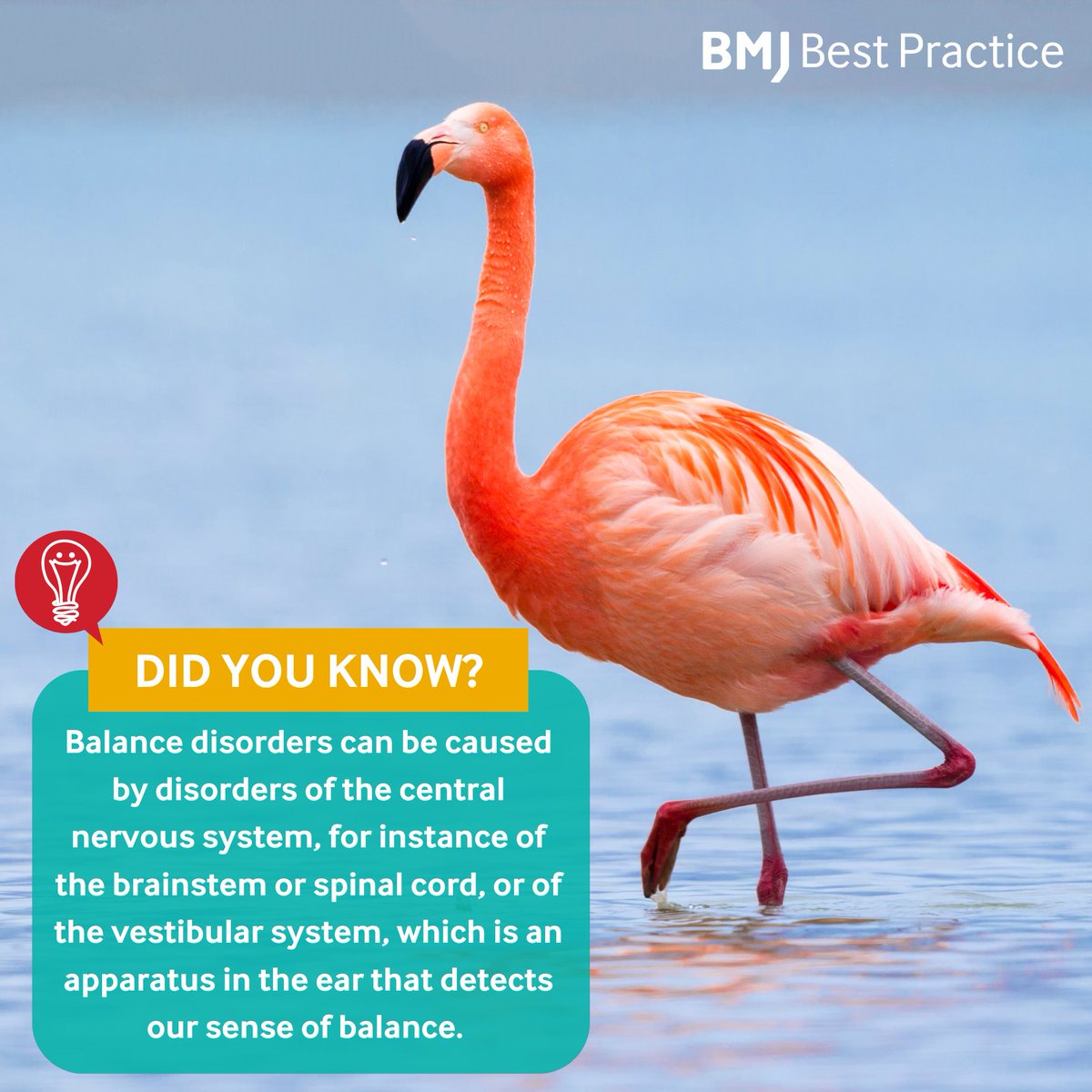 🌟 It's #BalanceAwarenessWeek! 🌟

There are multiple causes of balance disorders, from those effecting the vestibular system to the brainstem. This week is all about raising awareness of these often-invisible conditions 💪💙 

Learn more: bestpractice.bmj.com/topics/en-gb/7…