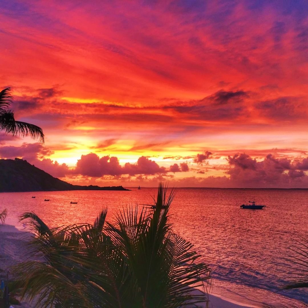 SXM Strong 🇸🇽🇫🇷💪 tweet media