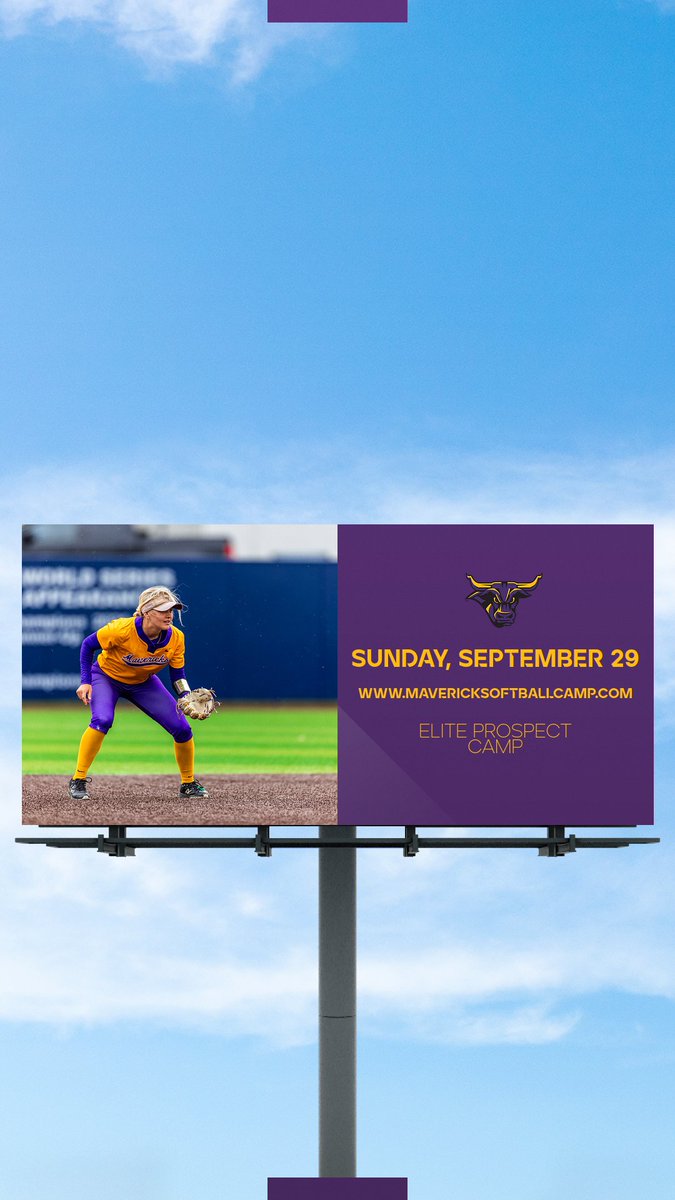 MSU Softball (@minnstsoftball) on Twitter photo 