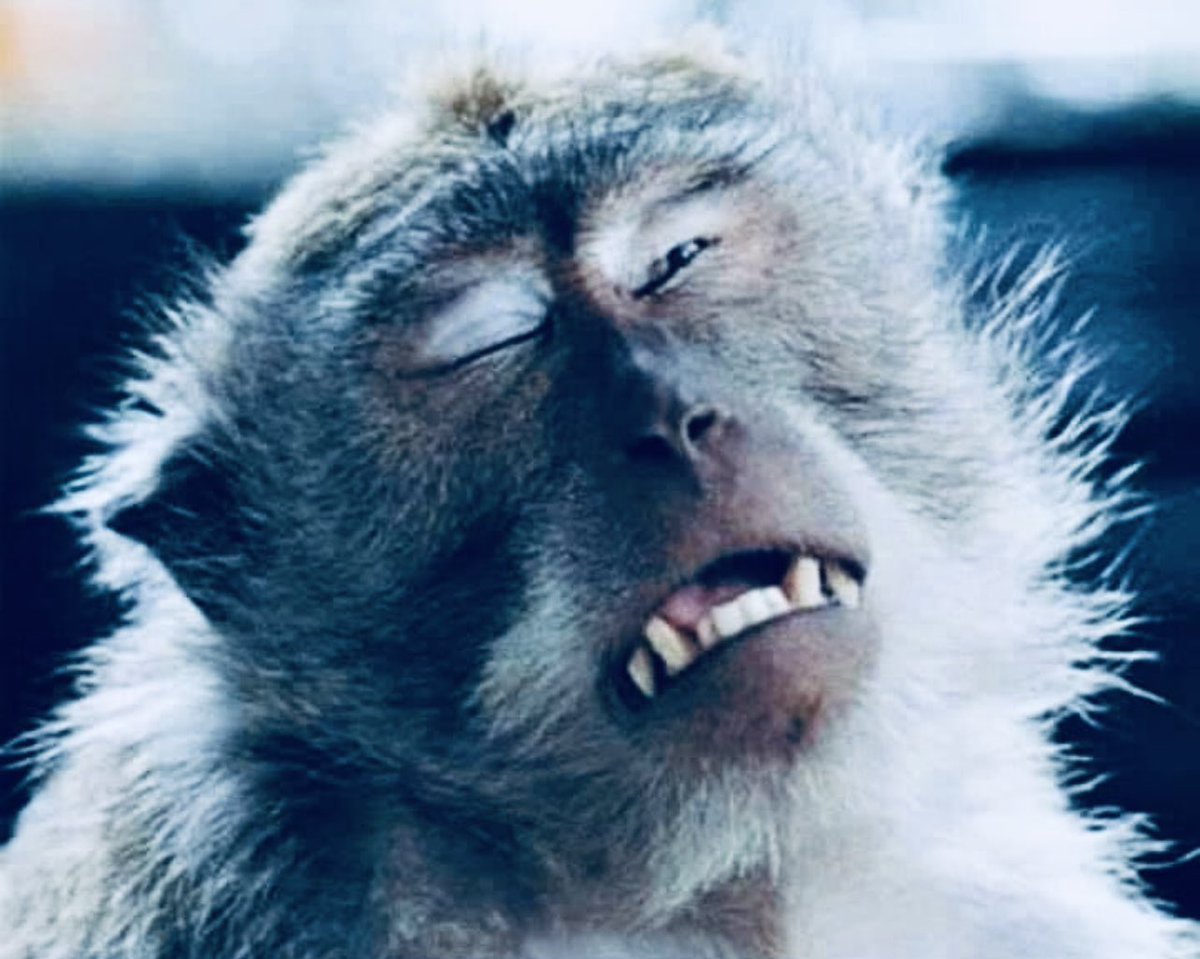 The pain of opening a “I need a favor” message by mistake 😭