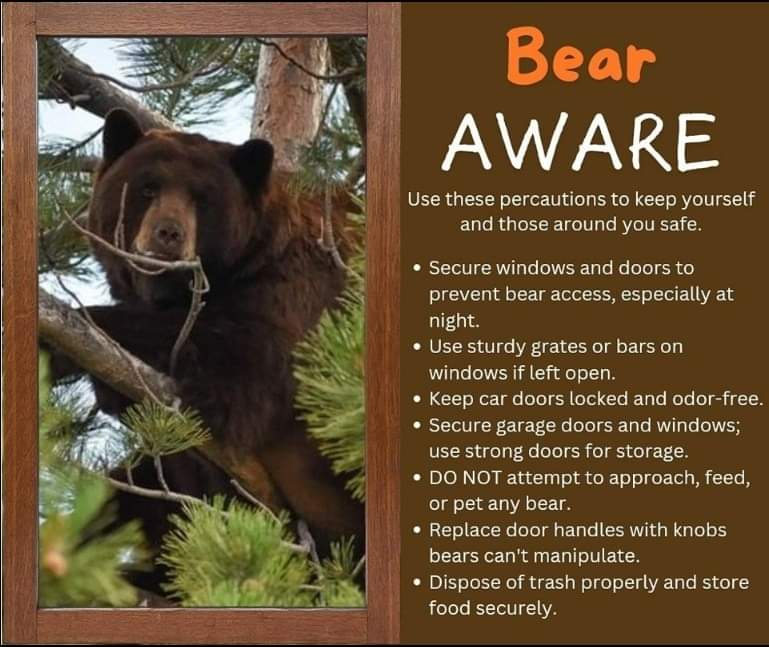 FTCarsonPD's tweet image. 🐻🚨 ATTN Mountain Post 🚨🐻 As we approach hibernation season, please be cautious of the bears visiting our post. If you see a bear on Fort Carson, call dispatch at 719.526.2333. For emergencies, dial 911 immediately.