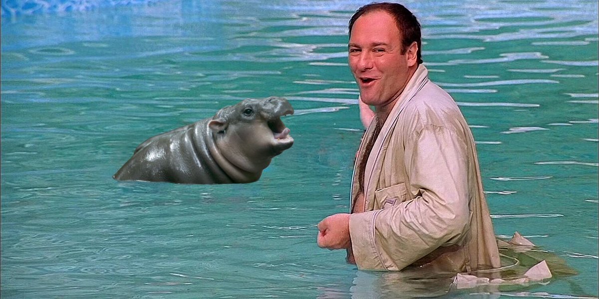 SopranosWorld's tweet image. “Kids look! It’s Moo Deng!”