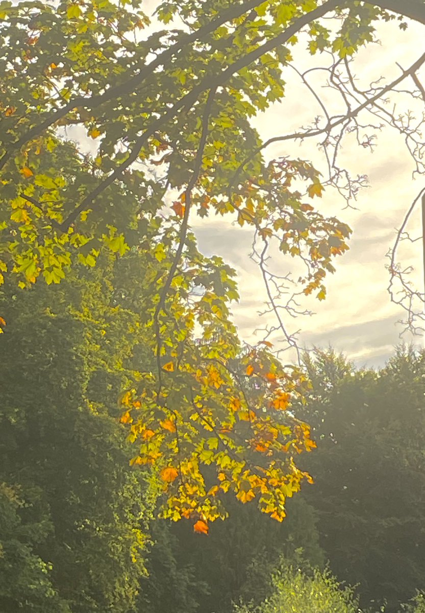 Dani Garavelli tweet media