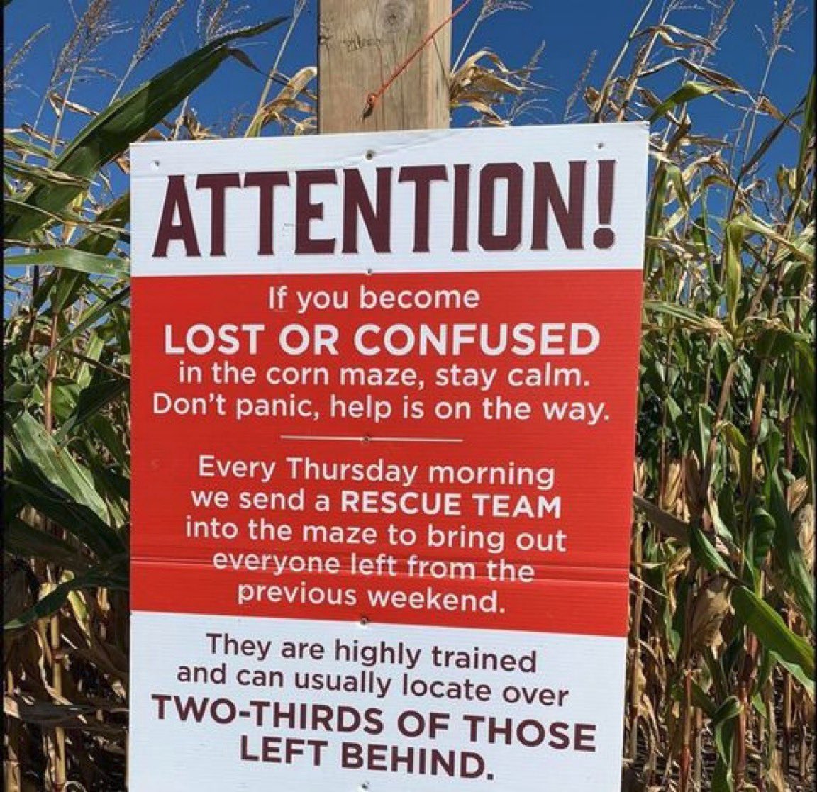 That’s comforting. 👀😈🤣🖤