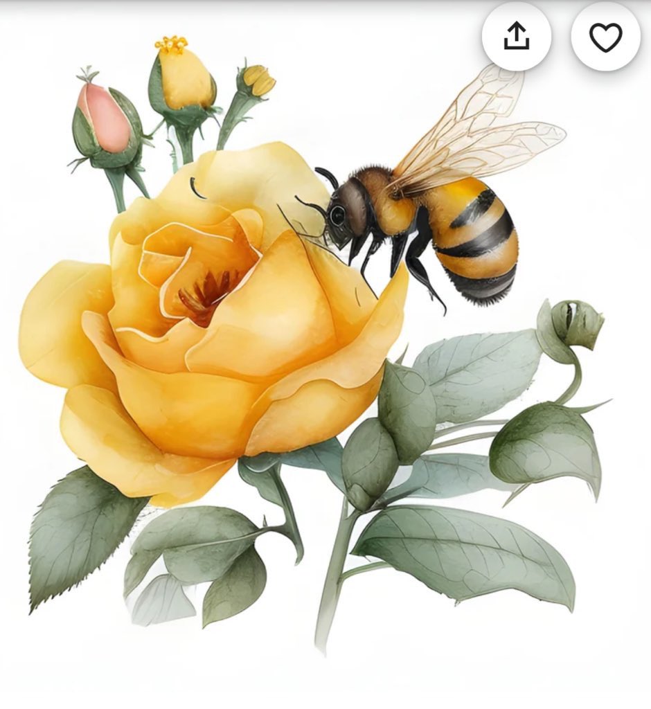 AliceVZHarrison's tweet image. I first said Joan is a beautiful rose🌹But then I got to thinking – she’s the type who’d prefer to be the honeybee that lands on the rose, &amp;amp; so she shall! 

Dear Joan,
By the power vested in me as the owner of this account, I dub thee a precious honeybee🍯🐝💛
#JoanJett @joanjett