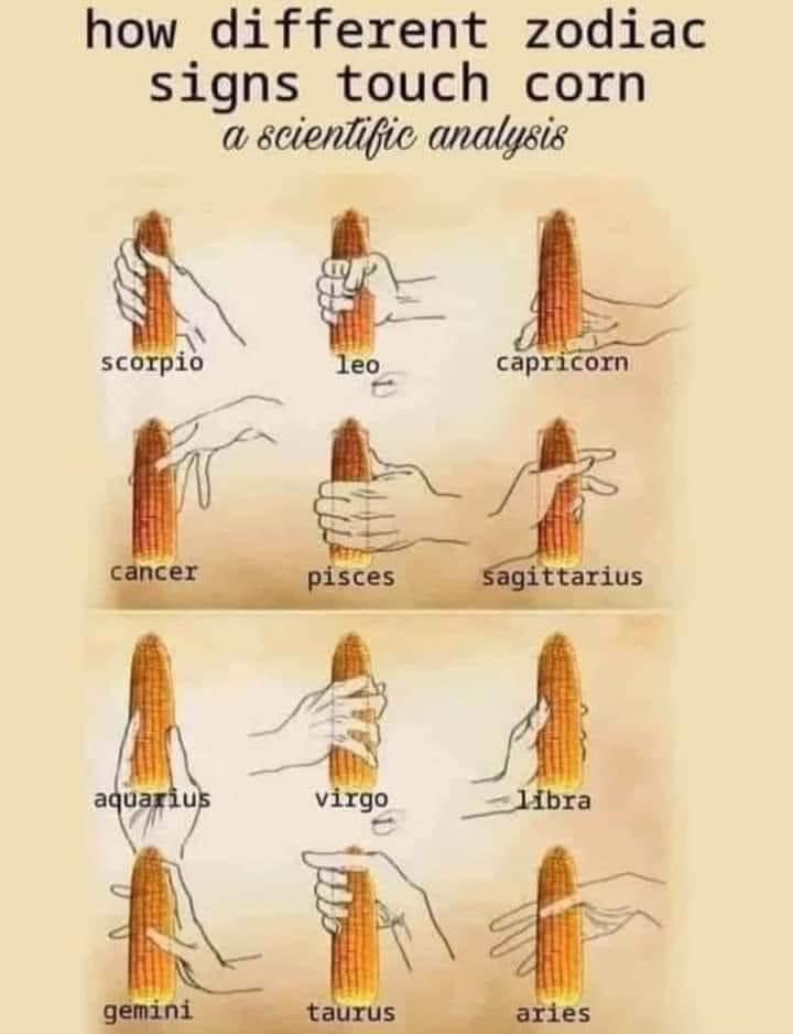 Winterfox tweet media