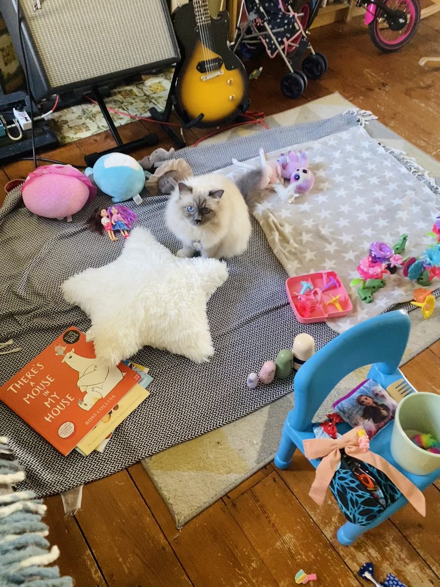PPufflet's tweet photo. @BertDalziel Recognise this fluffy fellow? https://t.co/yoAMoill2j