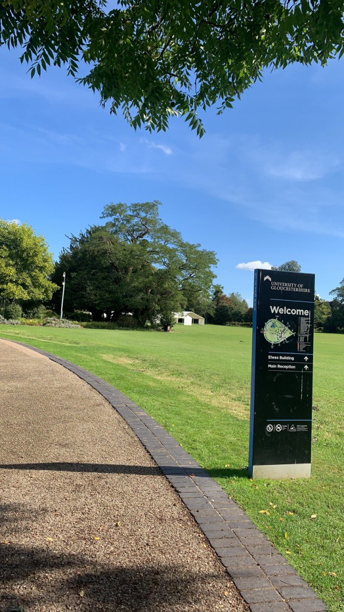 Alice Knight tweet media