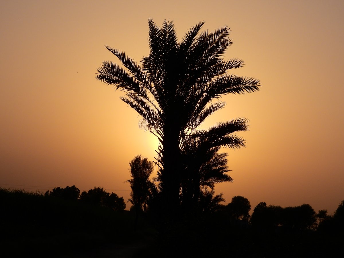 mmatalpur's tweet image. #SettingSun