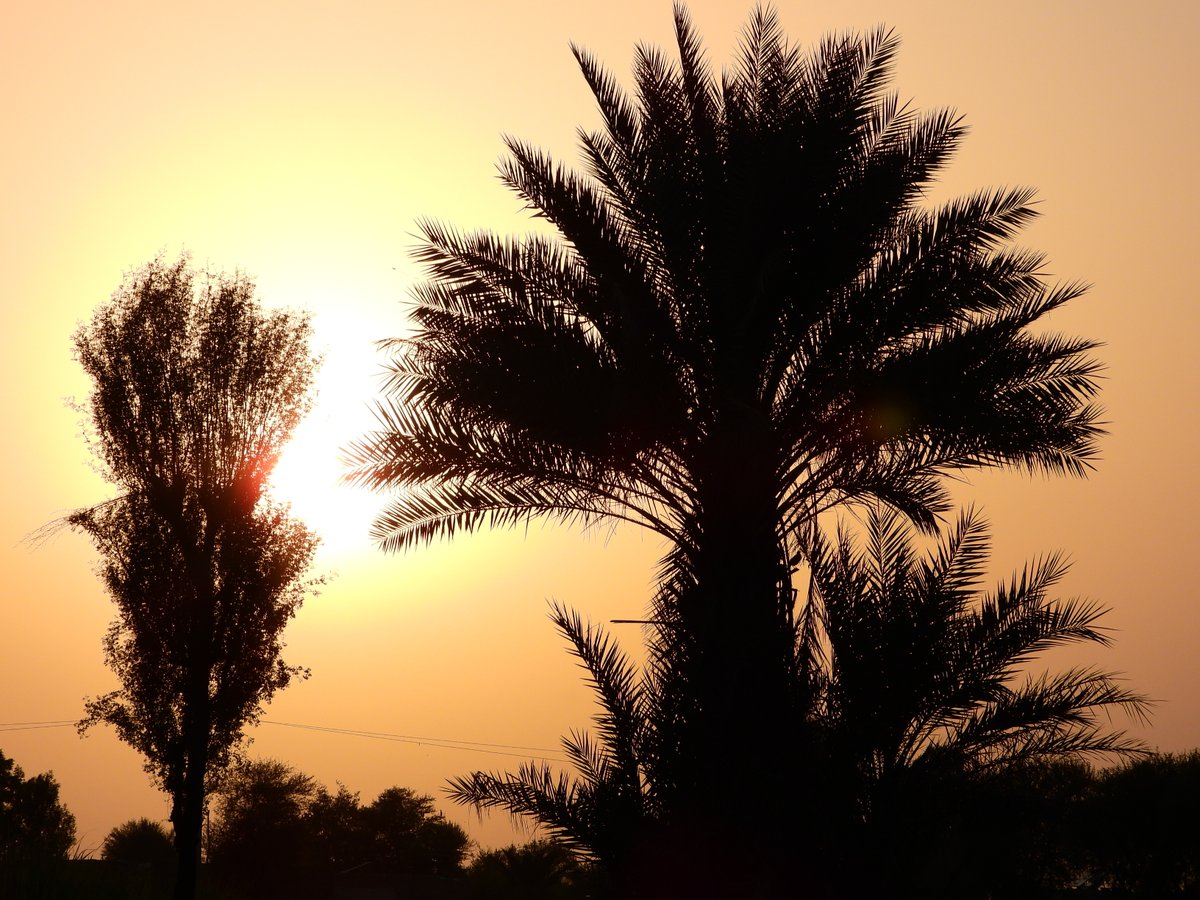 mmatalpur's tweet image. #SettingSun