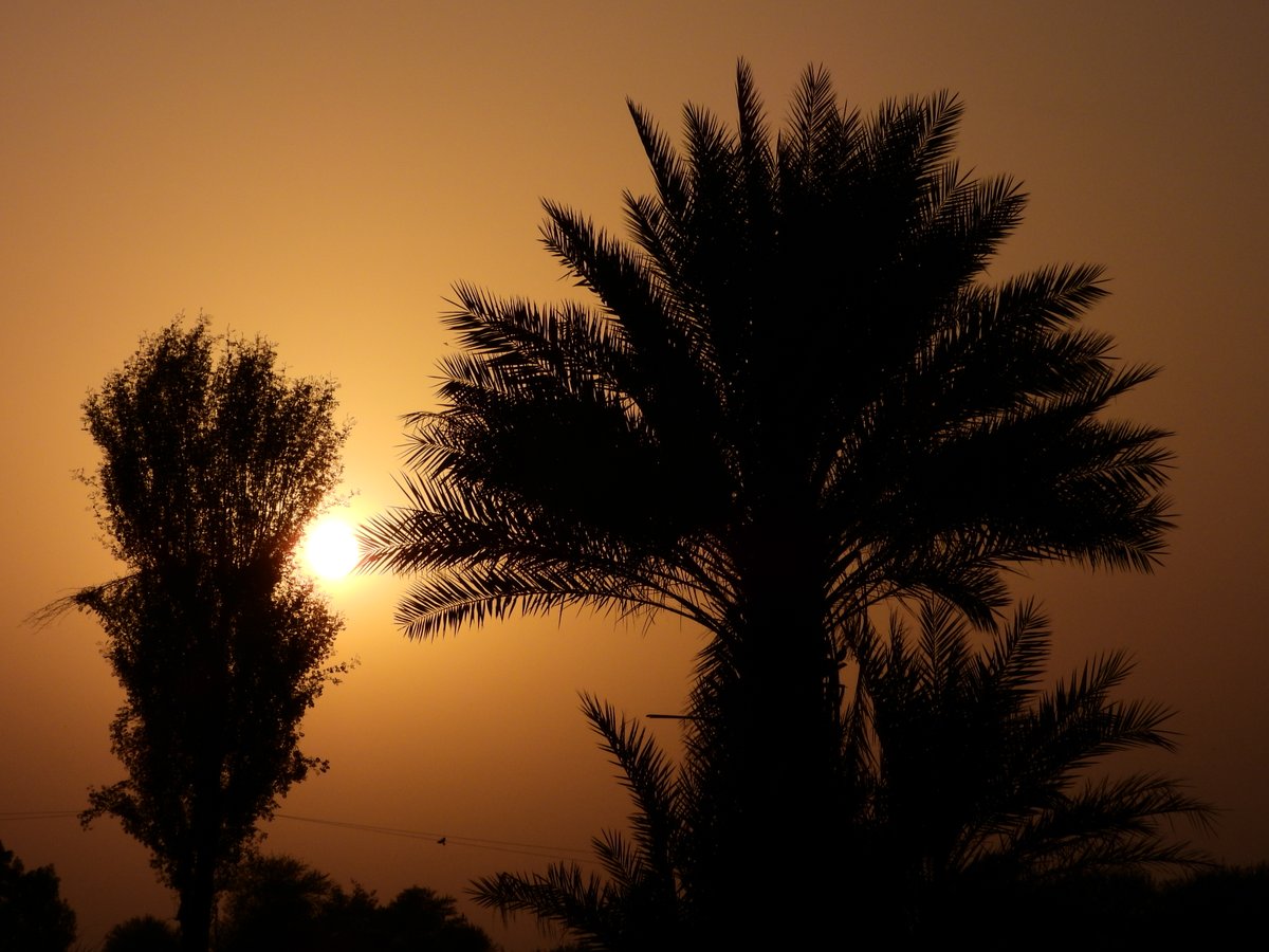 mmatalpur's tweet image. #SettingSun