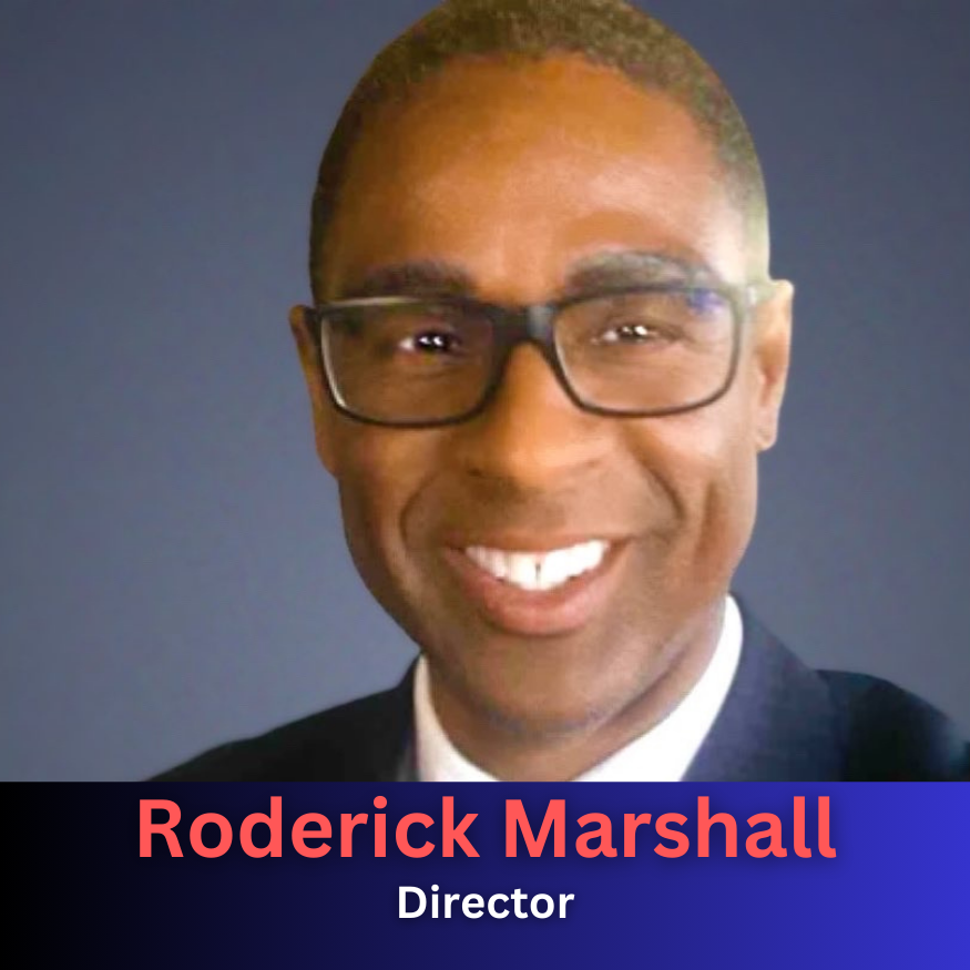 Houston Voting Initiative tweet media