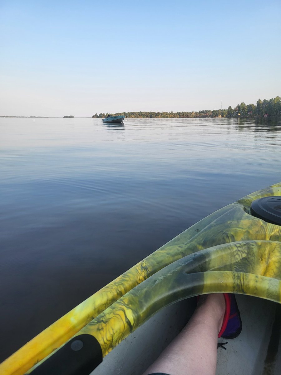 aiddecethy's tweet image. Enjoying my little slice of heaven...#lifeisbetteronthewater #ottawariver🇨🇦