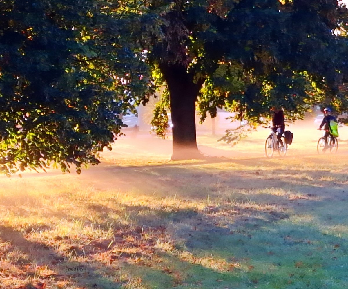 It were grand on the stray this morning,  with rays of sunshine hitting the low ground mist.
#Harrogate
