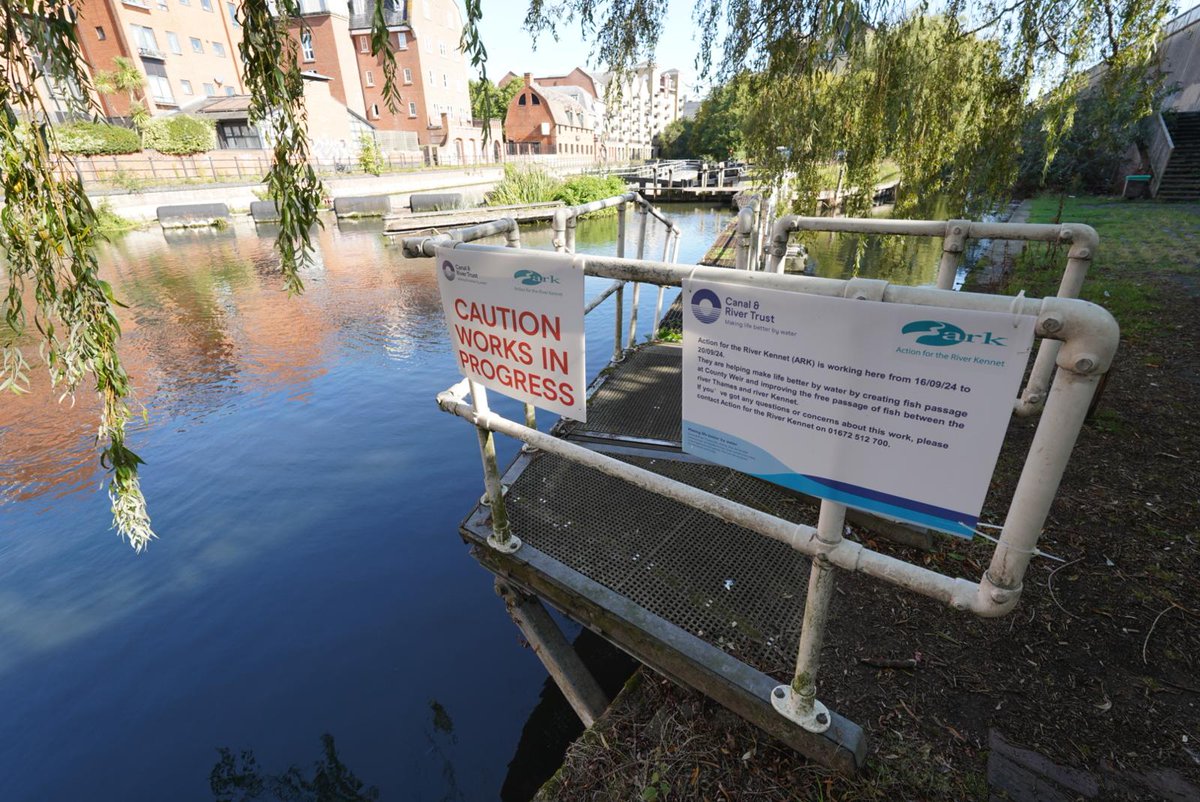 ARKennet's tweet image. 1 of 2  - ARK has been working with @CanalRiverTrust contractors @FiveRiversEC &amp;amp; Robert Nicholas to design &amp;amp; construct a notch in County Lock Weir that will help improve fish passage between the Thames &amp;amp; the Kennet.
#fishpassage