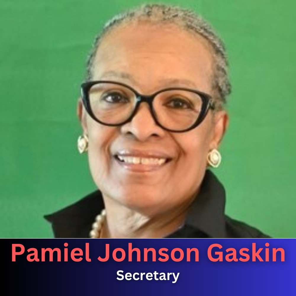 Houston Voting Initiative tweet media