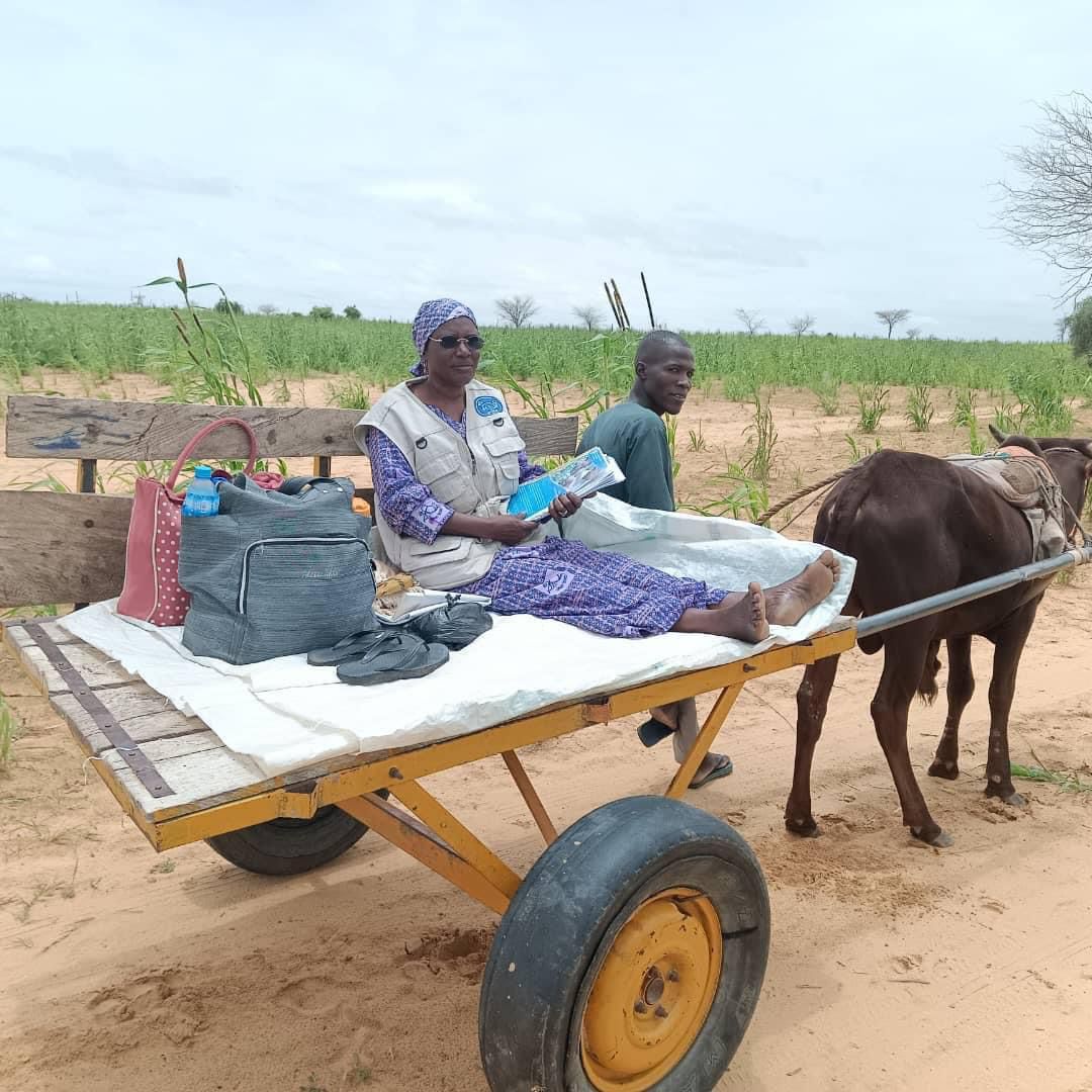 HumanityPurpose's tweet photo. #Transport
Un autre mode de transport pratiqué à l'#ExtrêmeNord, surtout dans la zone du #LacTchad. Souvenir #Makary, #Forokol, #Blangoua, #HiléAlifa... Une alternative la plus adaptée aux #Inondations et intempéries...
@camertrans @CRTV_web @Aboubakar_OMey @LaVoixDuTchad @cnhro https://t.co/4flOAh6oPL