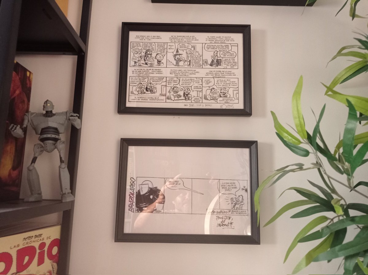 J.Pedrosa tweet media