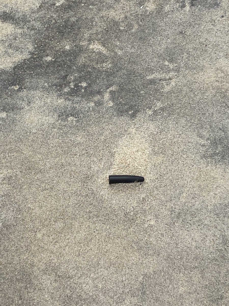 So far, three needles found today. That’s along with other small plastic items like used tampon applicators and pen lids that still litter the beach. <a href="/wbaltv11/">WBAL-TV 11 Baltimore</a>