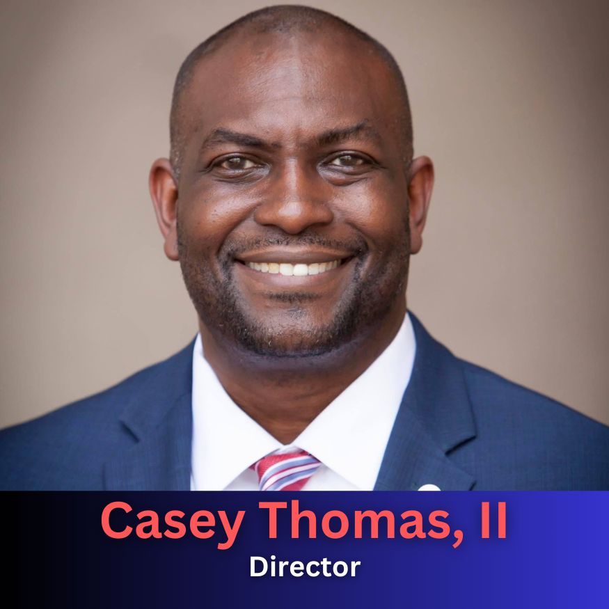 Houston Voting Initiative tweet media