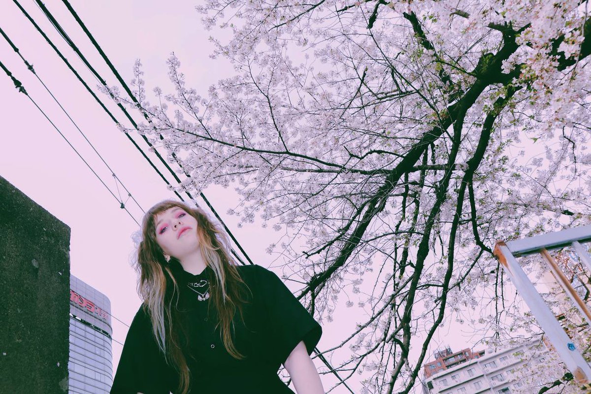 BoooredPhantom's tweet image. Сюда тоже закину: 

В четверг в 20:00 по Тби буду заставлять людей слушать своих любимых кричащих японцев на радио Голос Куниц, еще буду рассказывать истории с токийских локальных гигов, кому интересно - приходите!

t.me/kvernas