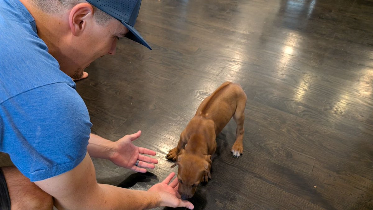 Vinny Pardi tweet media