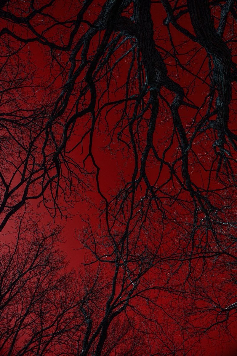 solisolsoli's tweet image. 