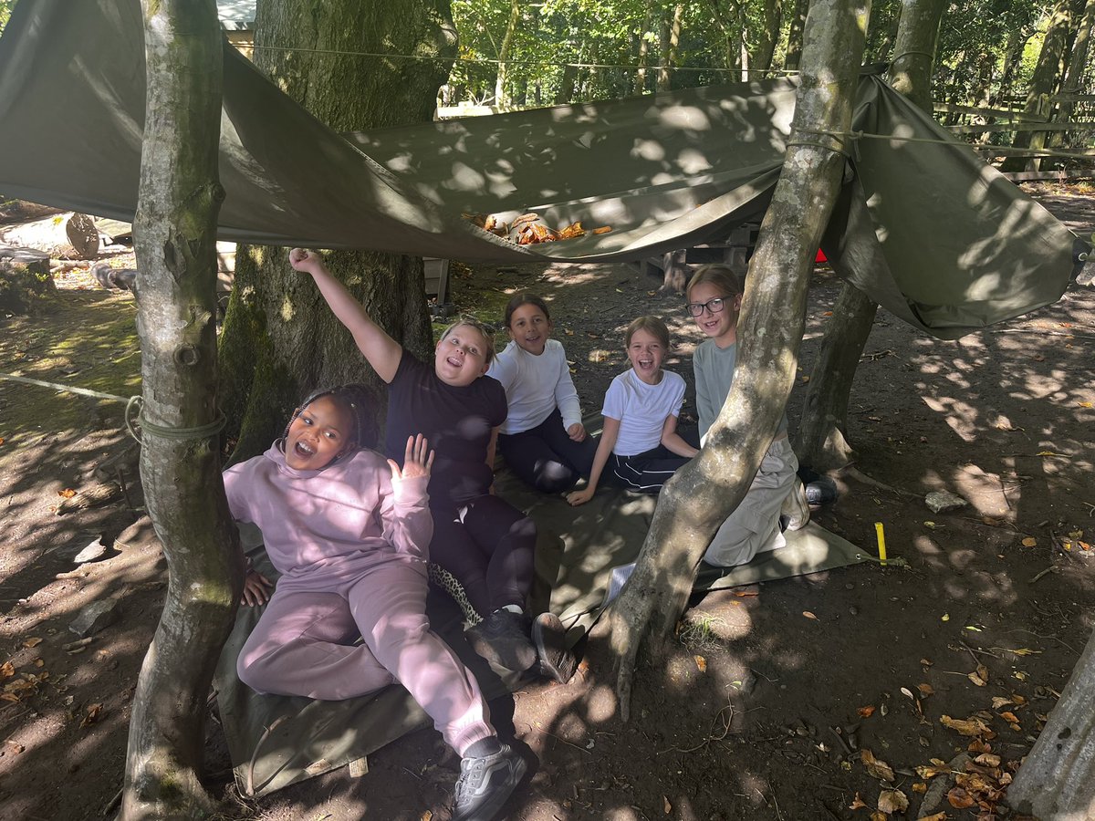 Miss Anderson tweet media