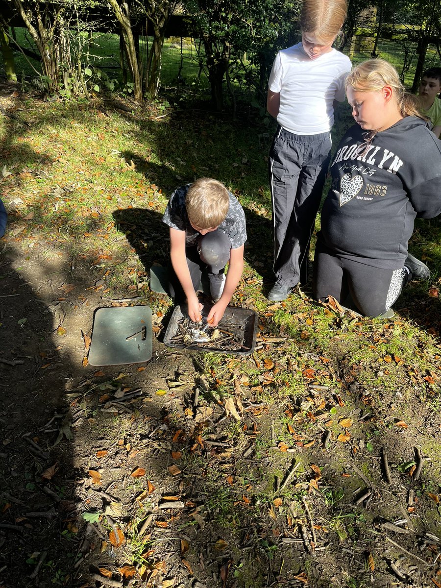 Miss Anderson tweet media