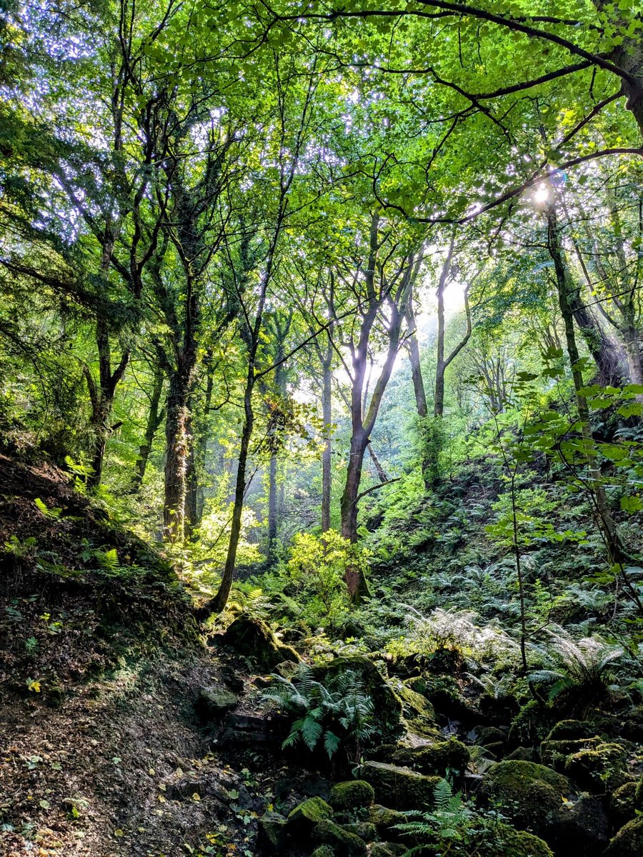 Otley Chevin. So beautiful. So magical.
