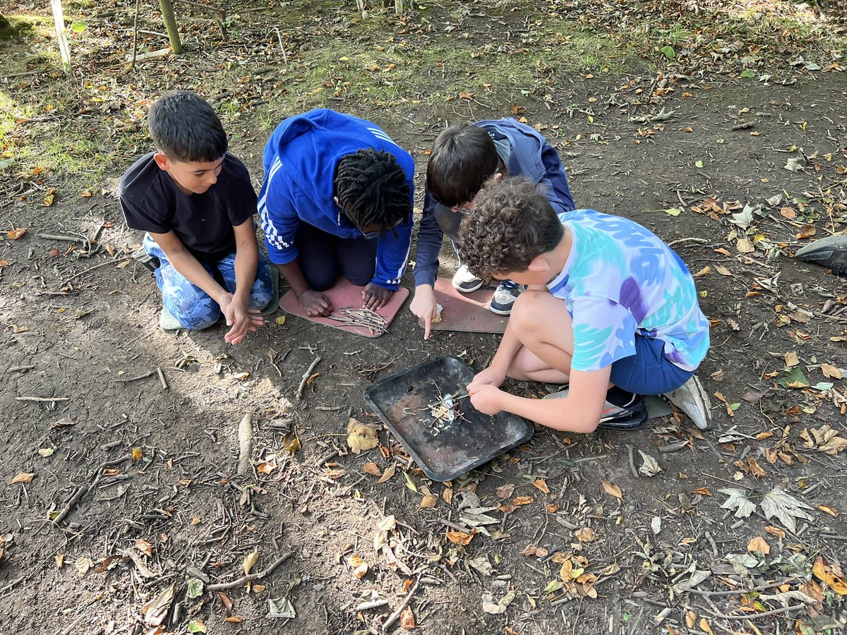 MrsSutton tweet media