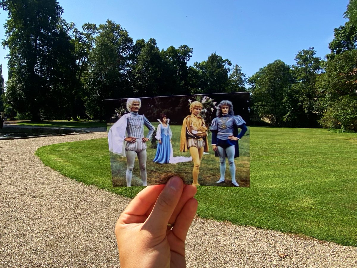 Filmové políčko tweet media