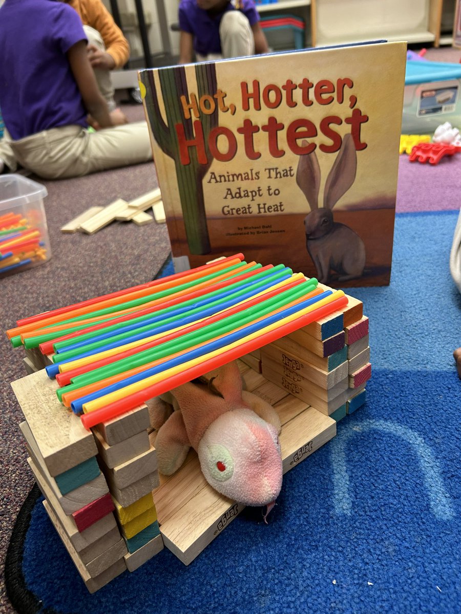 MsLibraryLadyy's tweet photo. First graders explored and created shade structures for animals after learning about extreme temperatures! Love the creativity!! https://t.co/wy7ZHzaBWl