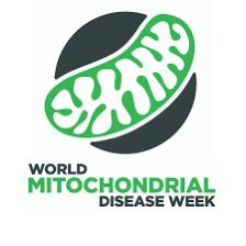 Newcastle University stays lighten up in green in support of International Mitochondrial Diseases Awareness Week ❇️✨

#mitochondrialdiseaseawarenessweek