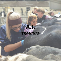 Wij zijn morgen een dagje afwezig door een bedrijfsbrede AI-training! Gekke foto hebben ze op de site maar we hebben er zin in! #artificial #intelligence #ai #training Gerrit zal eventuele storingen via zijn smartwatch kunnen beantwoorden (hopelijk).