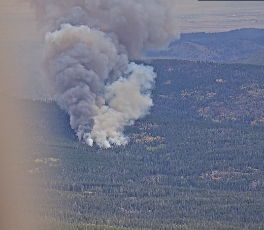 WesternWildland's tweet photo. #pearlfire Near Crystal Lakes, CO [Red Feather Lakes]

2 SEATS already inbound and Air Attack took off from Cody not long ago. #cofire https://t.co/wx0d1VHnFy
