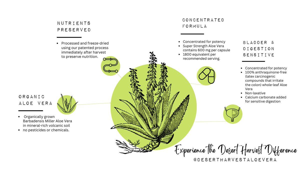 ✨ THE DESERT HARVEST DIFFERENCE ✨

If you are taking Aloe Vera for your IC symptoms, know that not all Aloe Vera is created equal.

#aloevera #desertharvestaloevera #thedesertharvestdifference #icsupport #pelvicpainsupport #anthraquinonefree